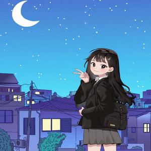 管理高端小鲤导航
