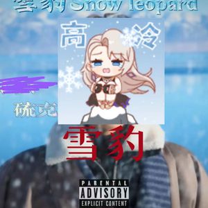 管理高端小鲤导航
